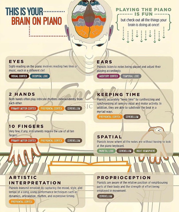 your brain on piano